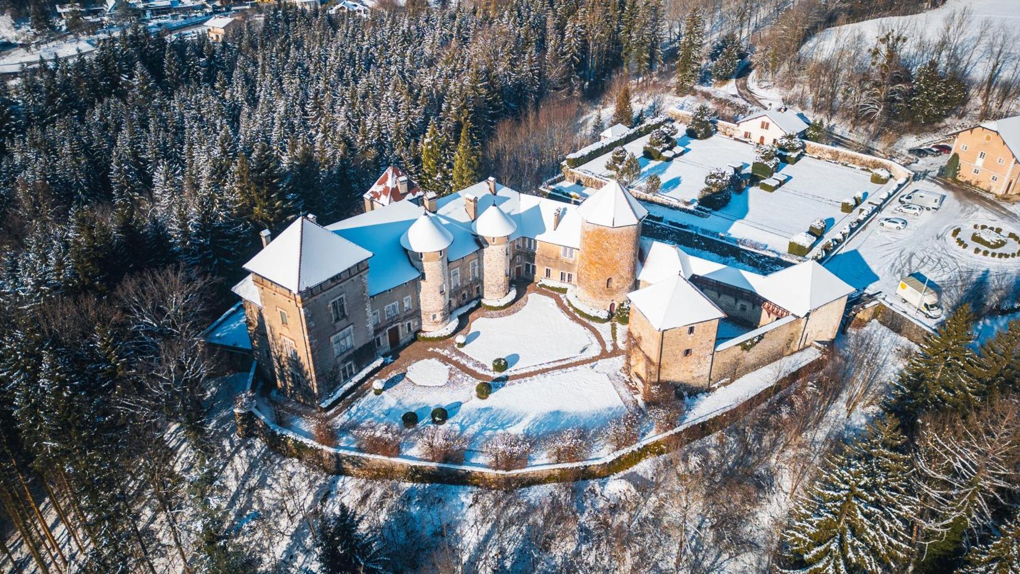 Chateau De Thorens Exterior foto