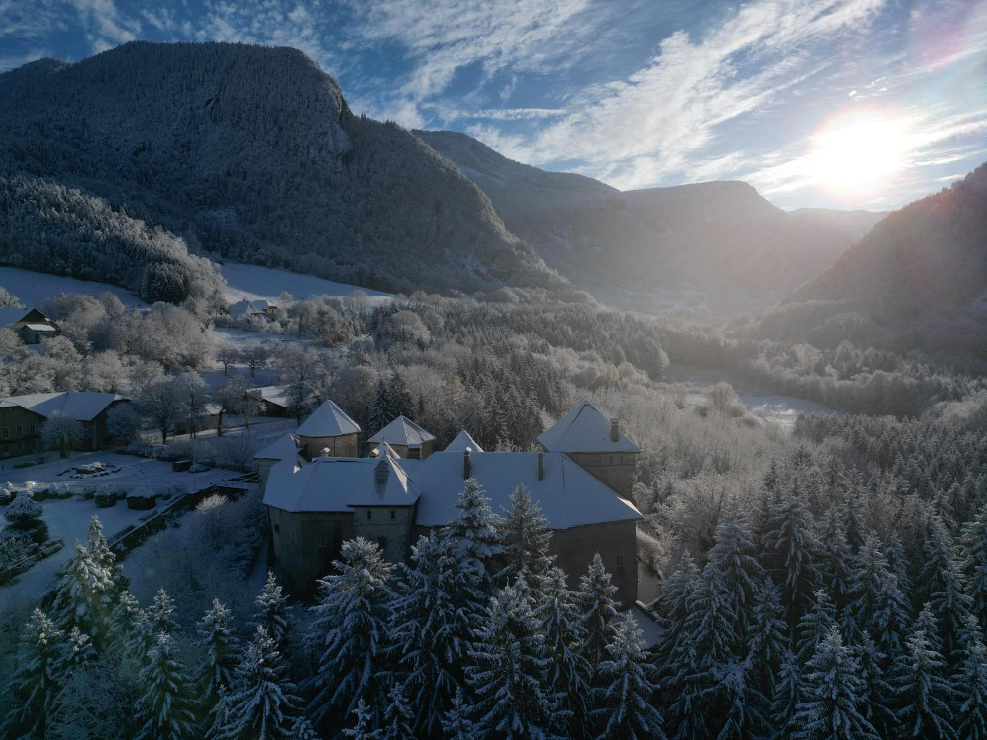 Chateau De Thorens Exterior foto